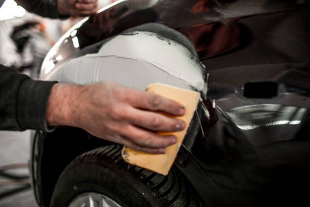 Best Mold Documentation for Insurance Claims  in Notre Dame, IN