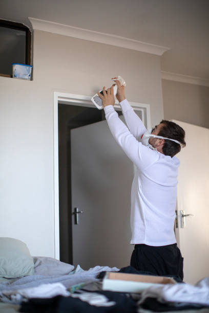 Best Mold Remediation for Healthcare Facilities  in Notre Dame, IN