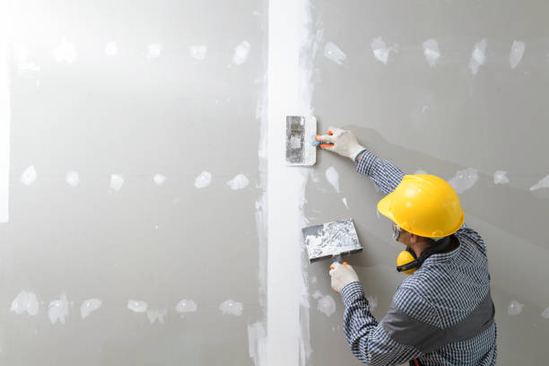Best Commercial Mold Inspection  in Notre Dame, IN