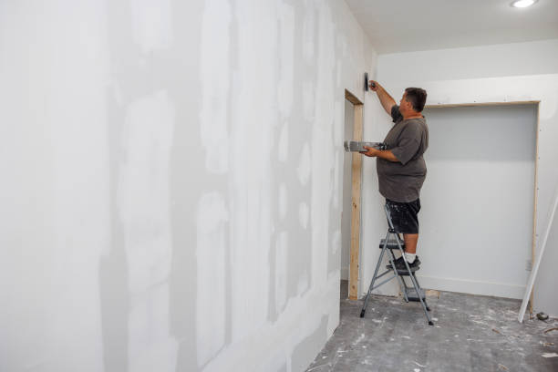 Best Mold Odor Removal Services  in Notre Dame, IN